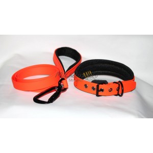 Collare e guinzaglio Sonny...