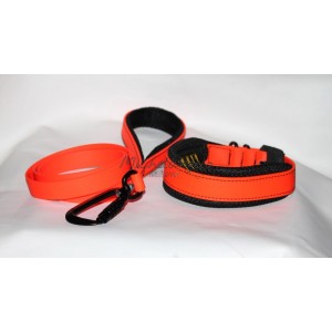 Collare e guinzaglio Sonny...