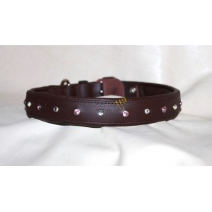 Collare Aryanna in Biothane