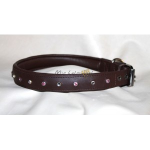 Collare Aryanna in Biothane