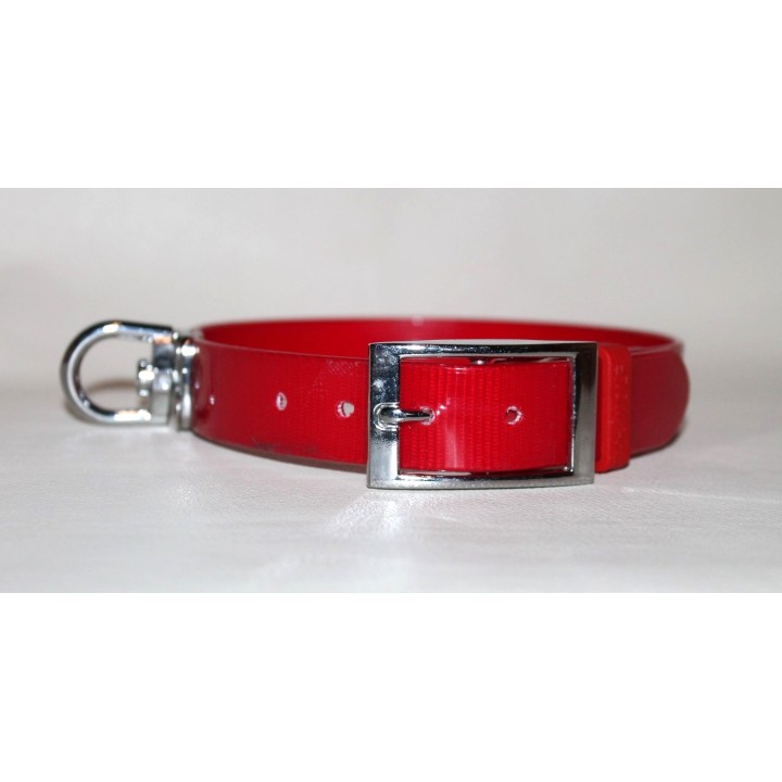 engraved biothane collar for track dogs