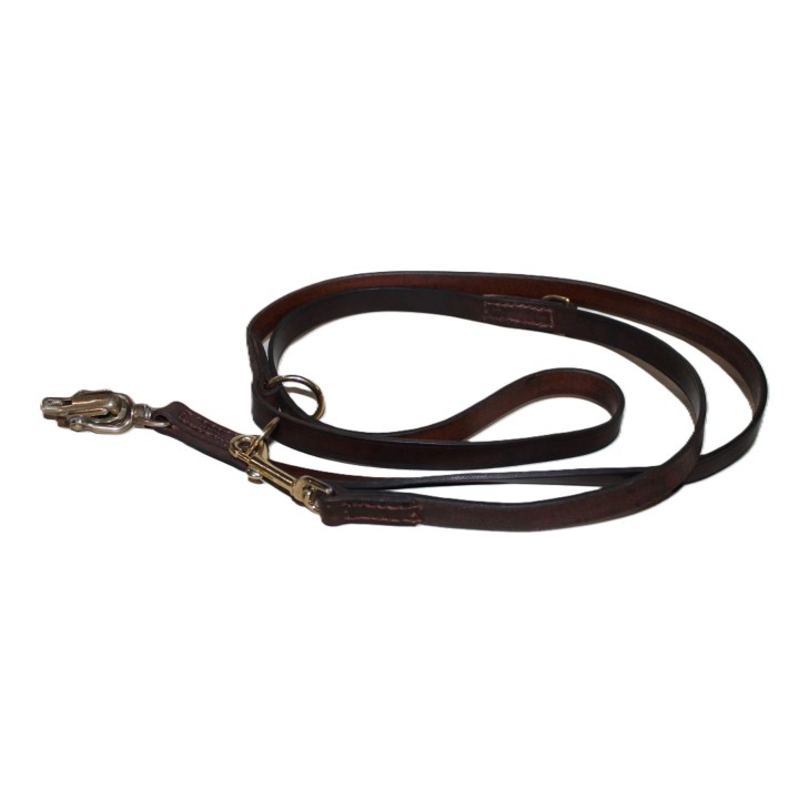 leash with quick release carabiner