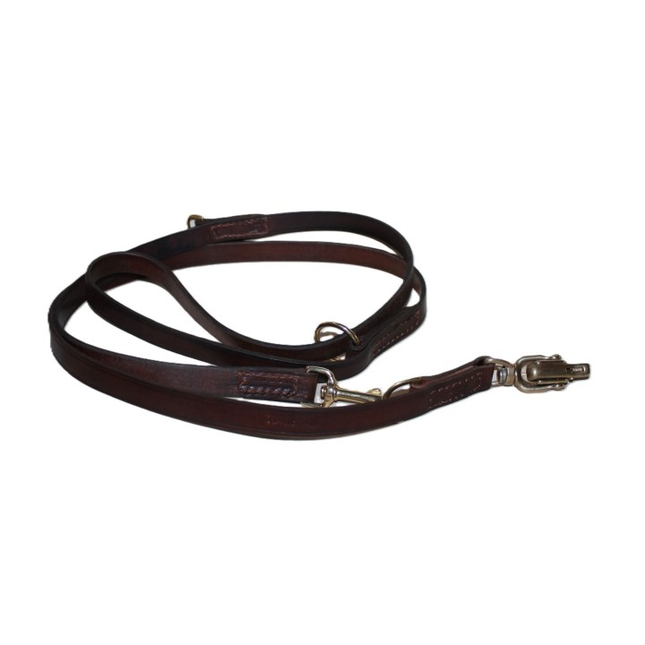 leash with quick release carabiner