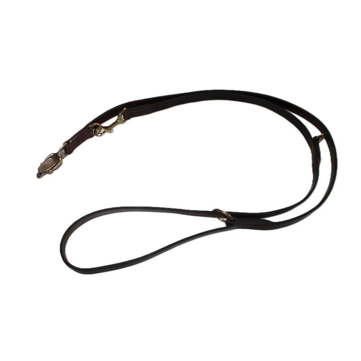 leash with quick release carabiner