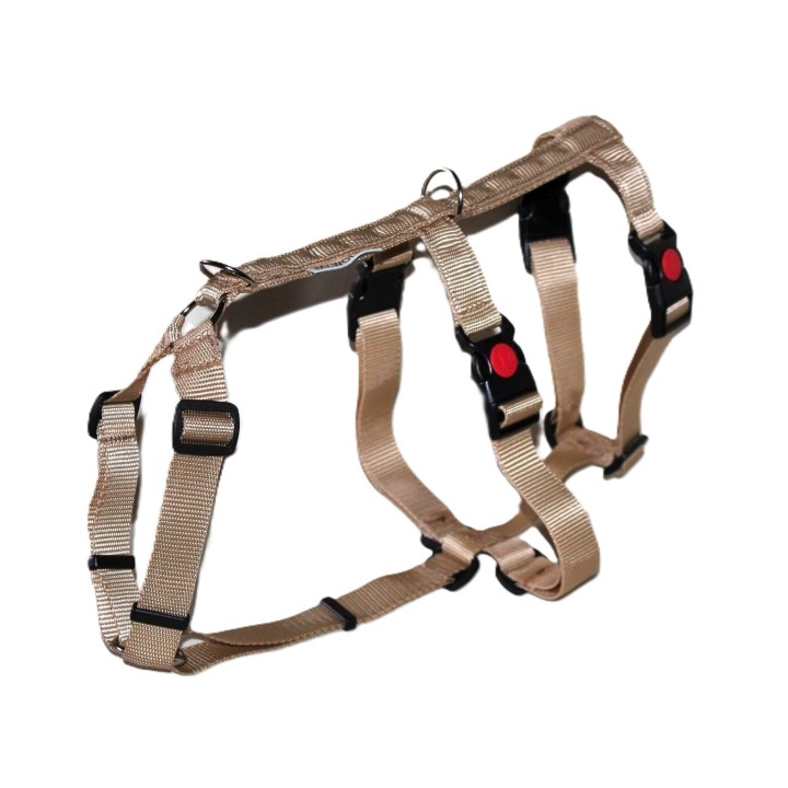 H harness for greyhound