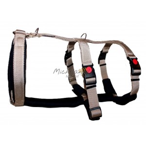 Pettorina Ambra con...