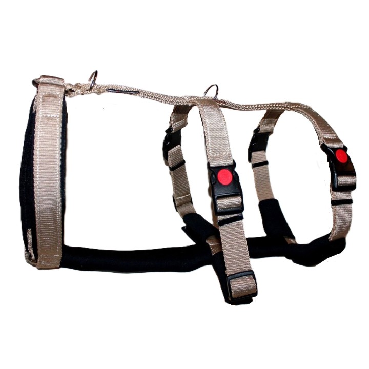 H harness for Greyhound