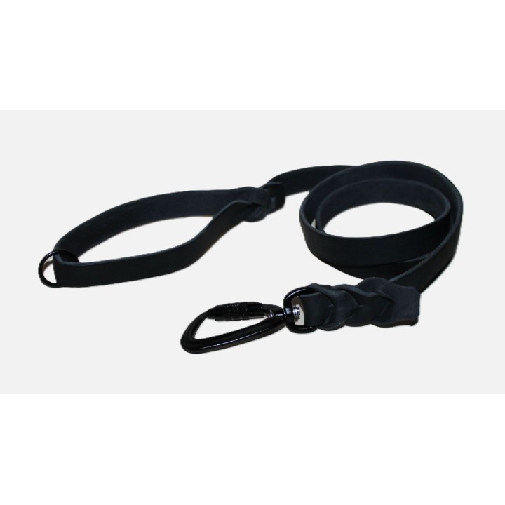 leash for molossian dogs