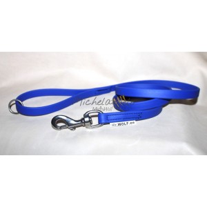 Leash in Biothane Apolda