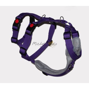 Pettorina Thomas  per...