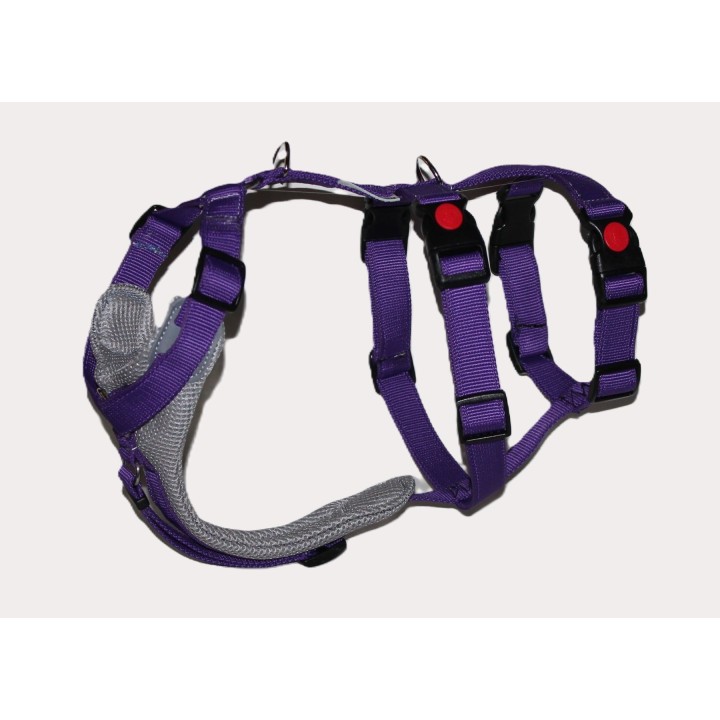 H harness for Greyhound