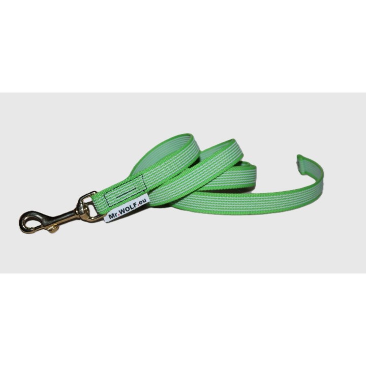 leash in rubberized nylon