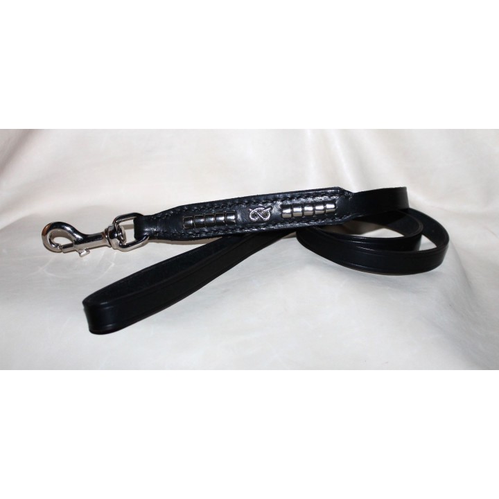 Leash  for  Staffordshire  Bull  Terrier