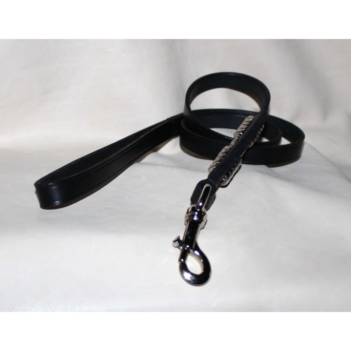 Leash  for  Staffordshire  Bull  Terrier