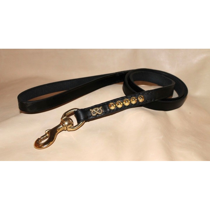Guinzaglio  per Staffordshire Bull Terrier