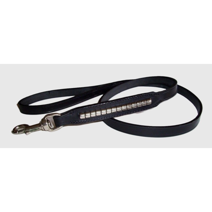 Leash  for  Staffordshire  Bull  Terrier
