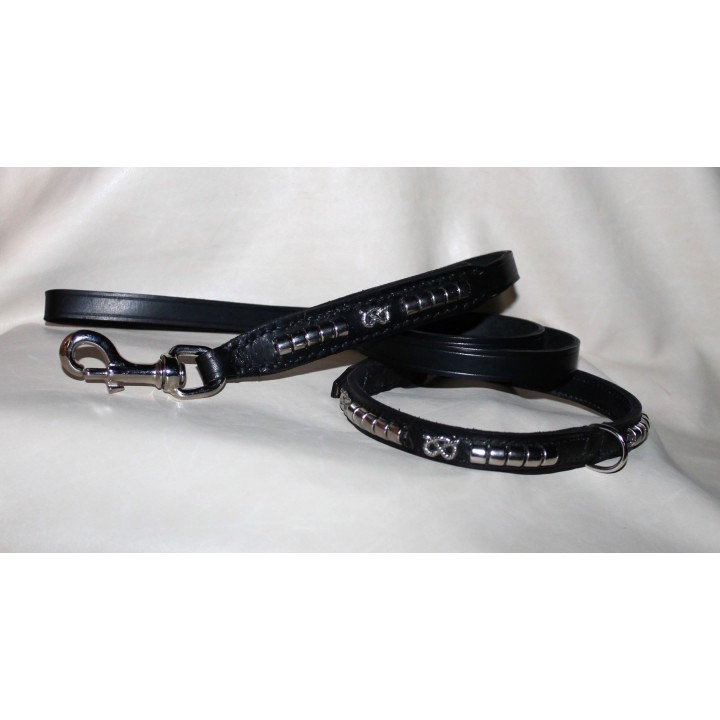 Staffordshire Bull Terrier collar