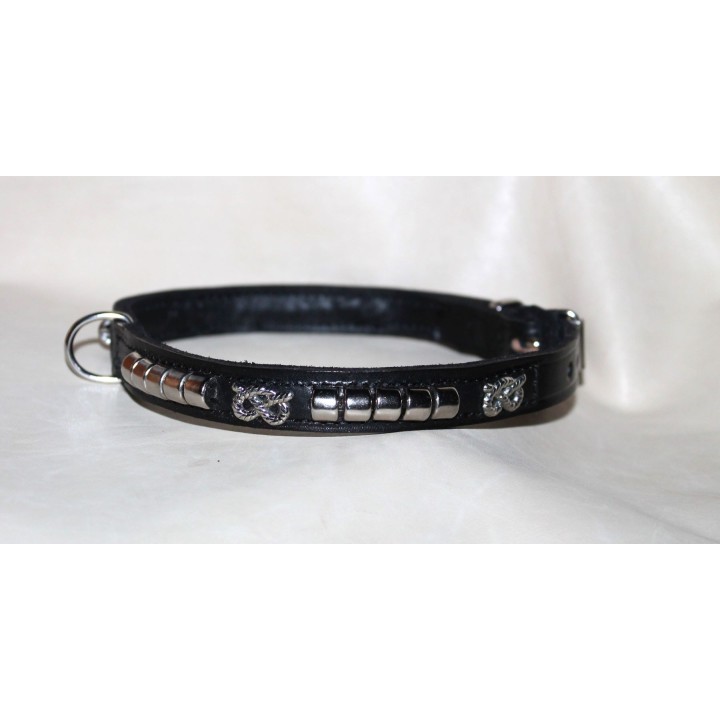 Staffordshire Bull Terrier collar