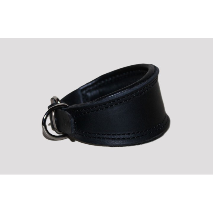 italian greyhound collar