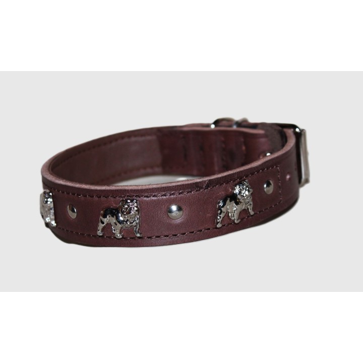 leather collar for english bulldog