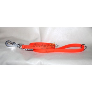 Guinzaglio Apolda in Biothane