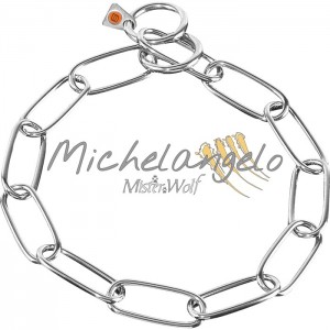 Collare in acciaio inox