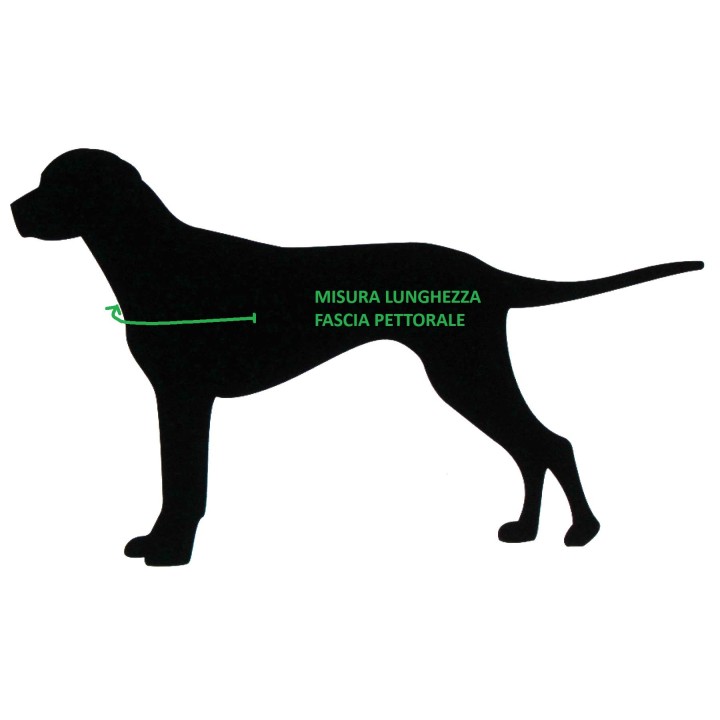 pettorina per cani da ricerca