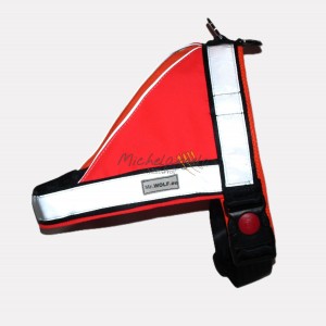 étoile Chanel research harness