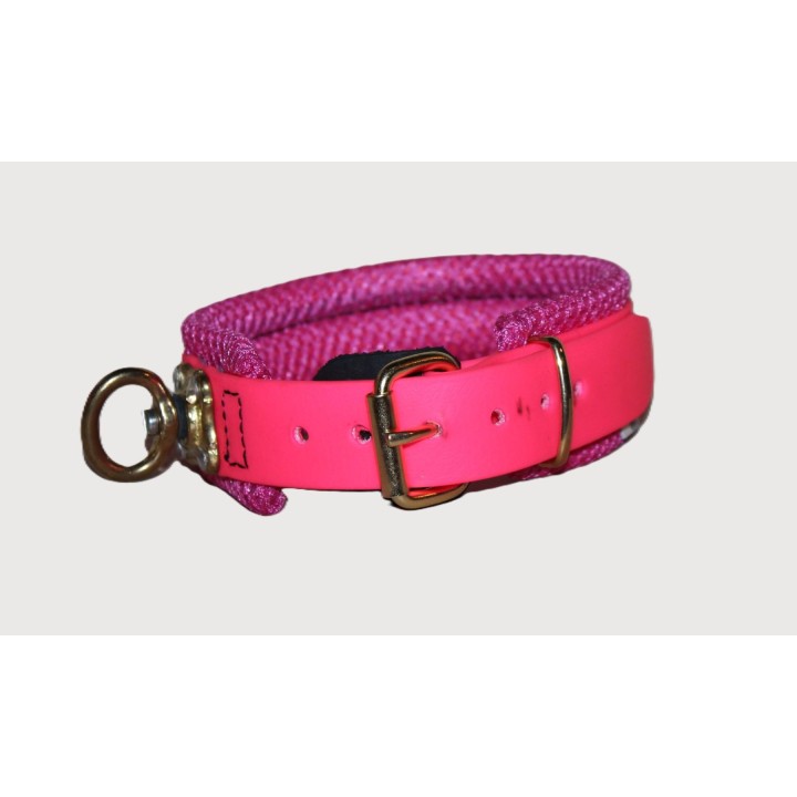 biothane collar for track dogs