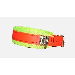 biothane collar for track dogs
