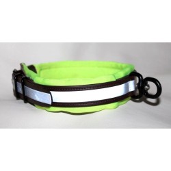 biothane collar for track dogs
