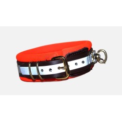 biothane collar for track dogs
