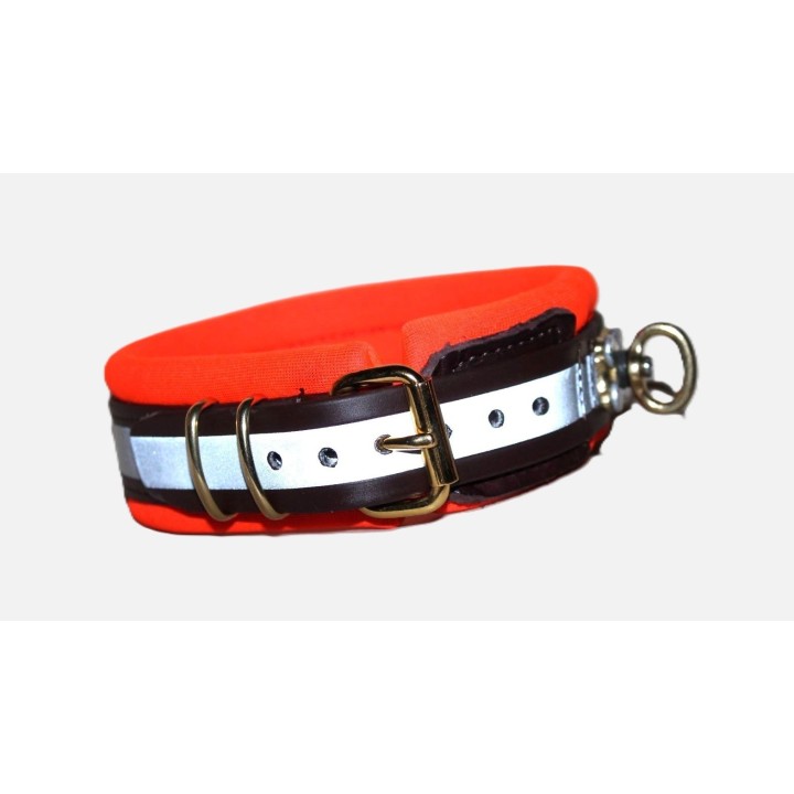biothane collar for track dogs
