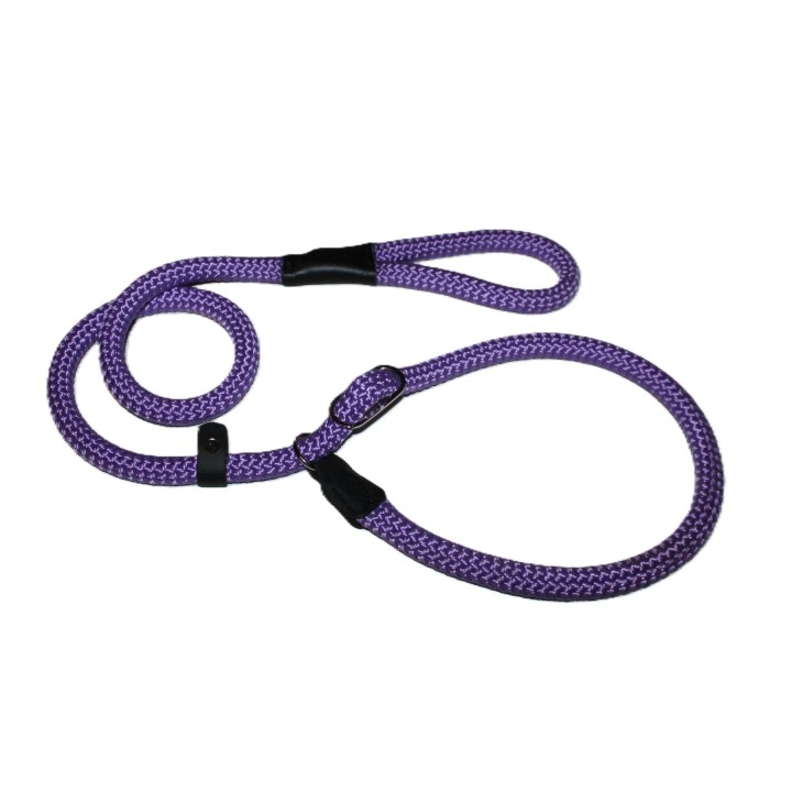 retriever leash