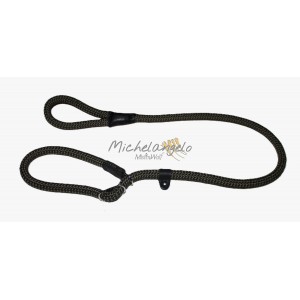 Guinzaglio Retriever