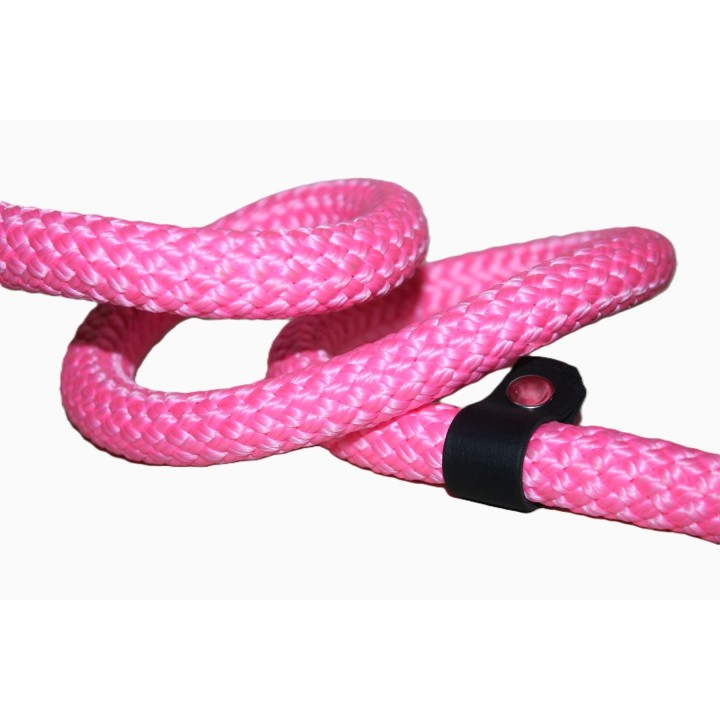 retriever leash