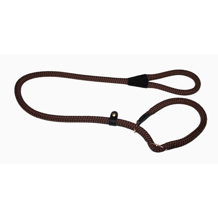 retriever leash