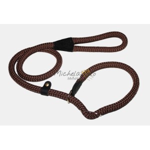 Guinzaglio Retriever