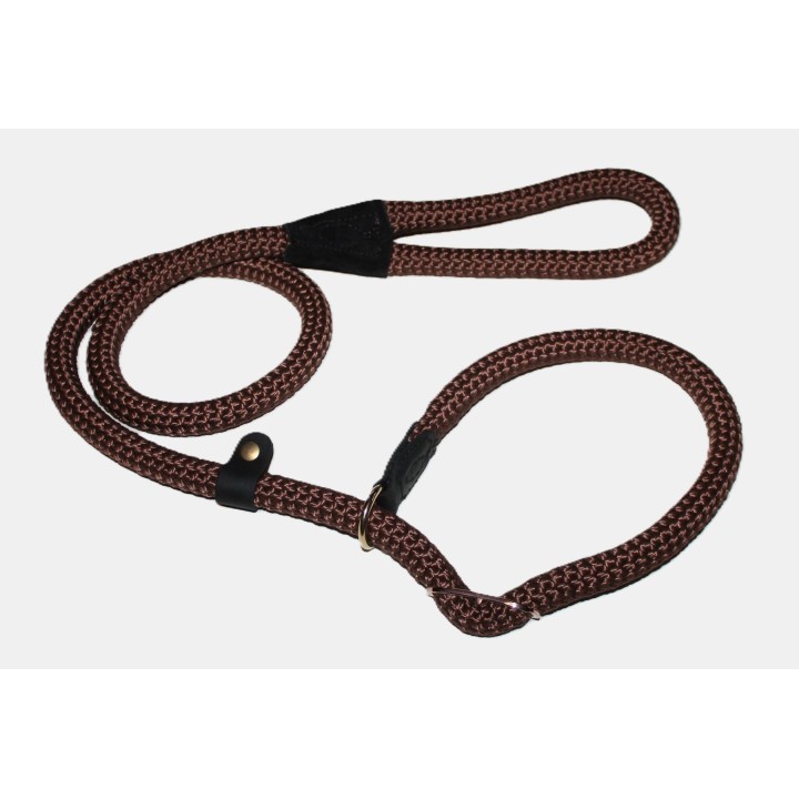 retriever leash