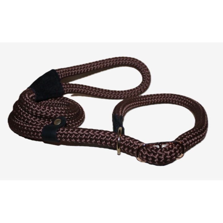 retriever leash