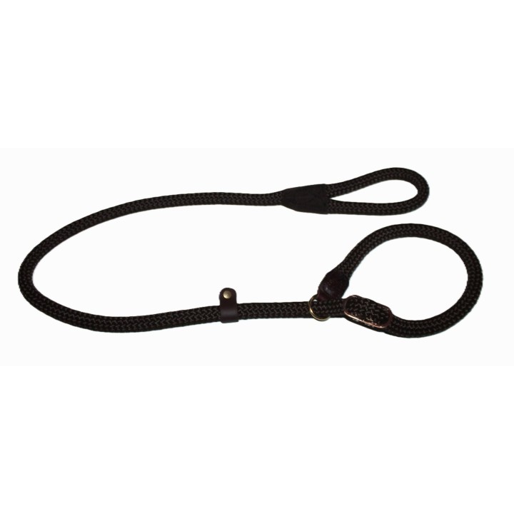 retriever leash