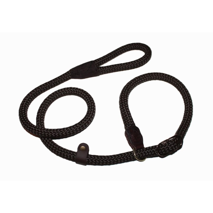 retriever leash