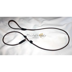 Guinzaglio Sahara in...