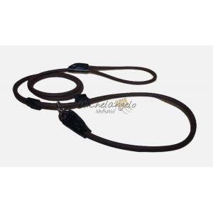 Guinzaglio Sahara in...