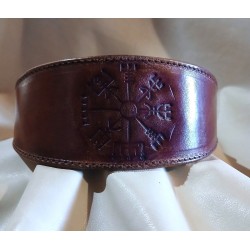 collare vegvisir per levrieri e cani