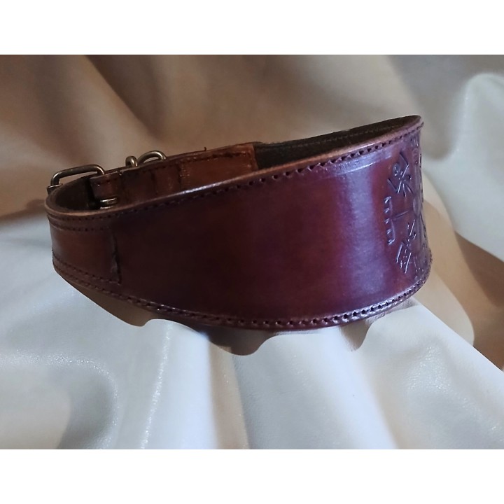 vegvisir collar for greyhounds