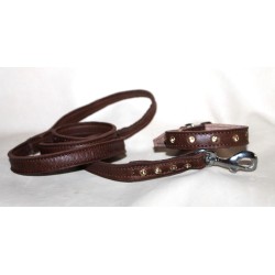 leash and collar for small dogs