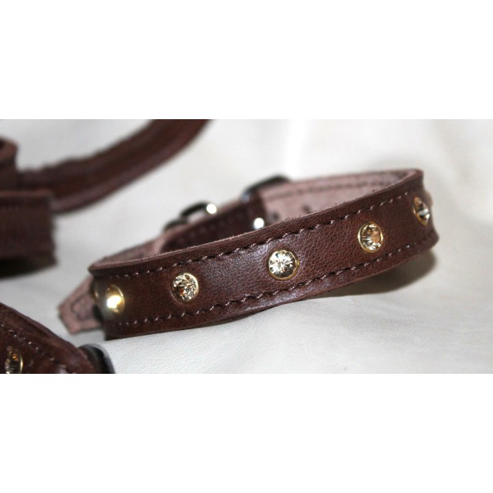 leash and collar for small dogs