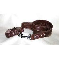 leash and collar for small dogs