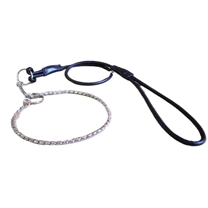 Show dog collar